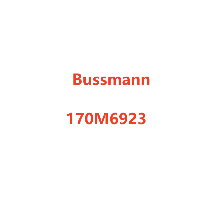 Bussmann 170M6923 series High Speed Square Body Fuse