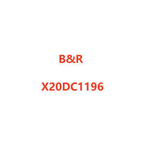 B&R X20DC1196 I/O Module