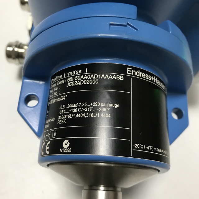 E+H Hydrostatic level gauge 65I-50AA0AD1AAAABB