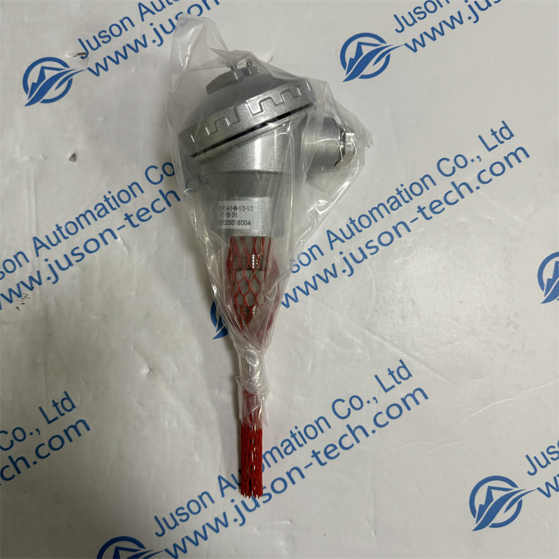 EYC-Tech Humidity Transmitter RT1-PT1-A-2- KN-1 2-1 2-9.5-100-316