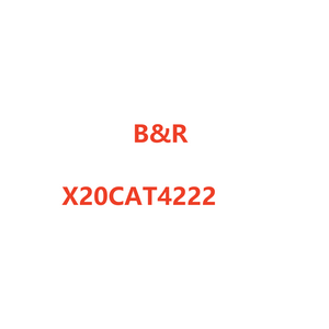 B&R X20CAT4222 module