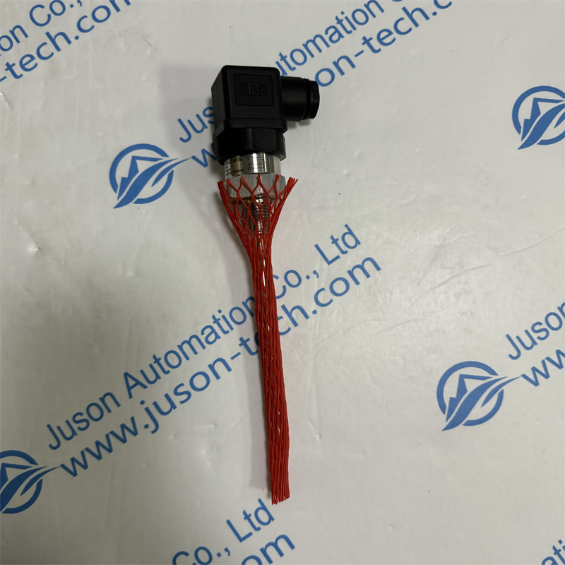 EYC-Tech Temperature sensing rod TP04-S-PT1- A-1 4-6.3-100-316