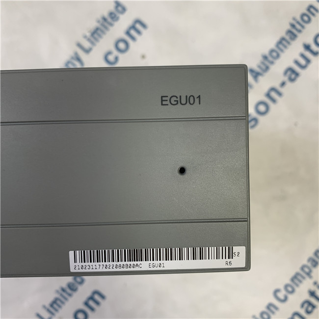 VERTIV EGU01 Power module