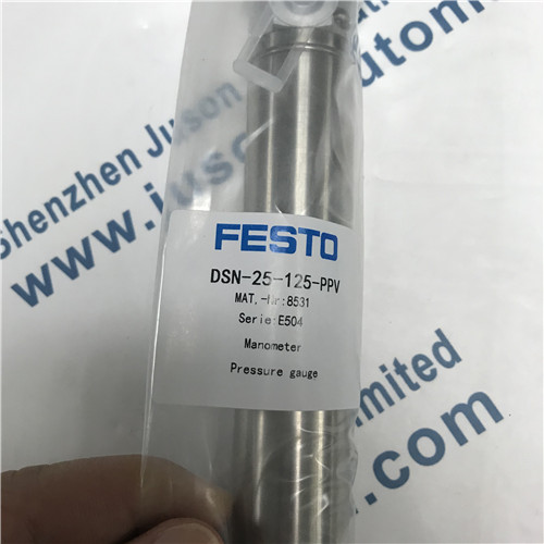 FESTO DSN-25-125-PPV 8531 cylinder