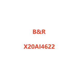 B&R Control Systems X20AI4622