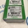 Schneider Thermal Relay DL1BDB1