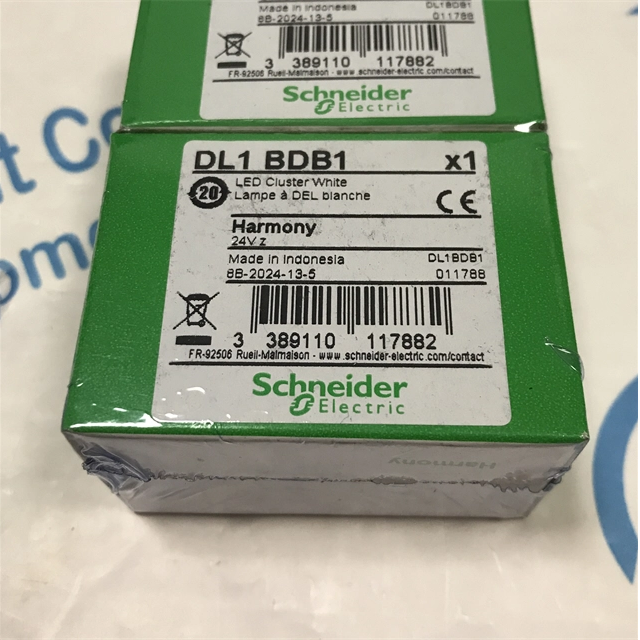 Schneider Thermal Relay DL1BDB1