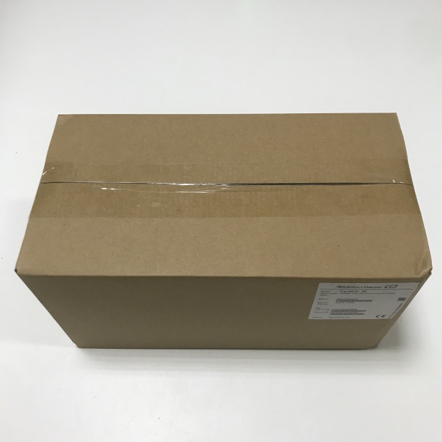 Endress+Hauser Digital pressure transmitter PMP55-AA21RA1PGJT7JA1A+AAPA