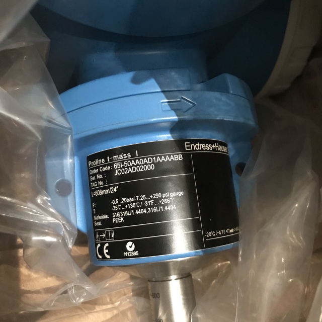 E+H Hydrostatic level gauge 65I-50AA0AD1AAAABB