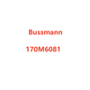 Bussmann 170M6081 High Speed Square Body Fuse