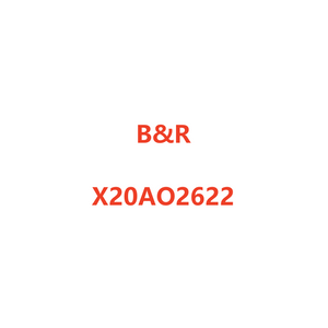 B&R X20AO2622 Module